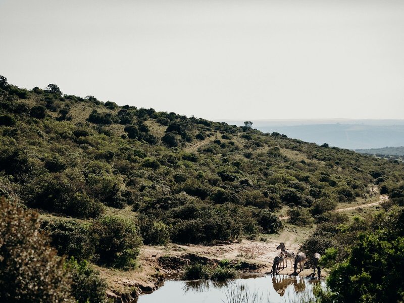 Bukela Game Lodge 9