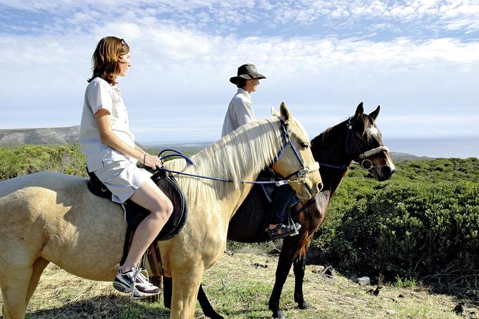 Grootbos Private Nature Reserve Forest Lodge & Garden Lodge 29