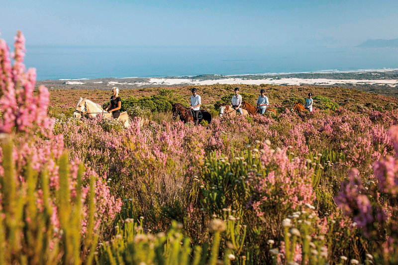 Grootbos Private Nature Reserve Forest Lodge & Garden Lodge 33