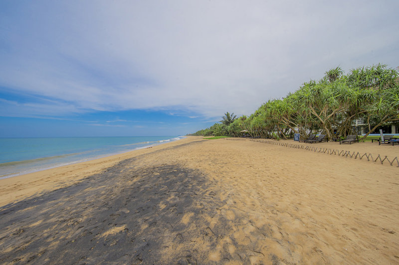 Temple Tree Resort & Spa 3