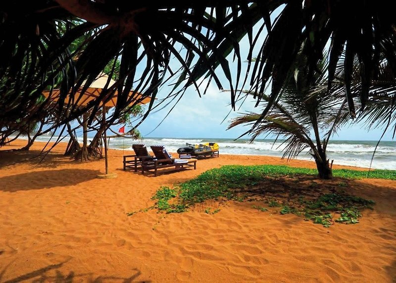 Temple Tree Resort & Spa 10