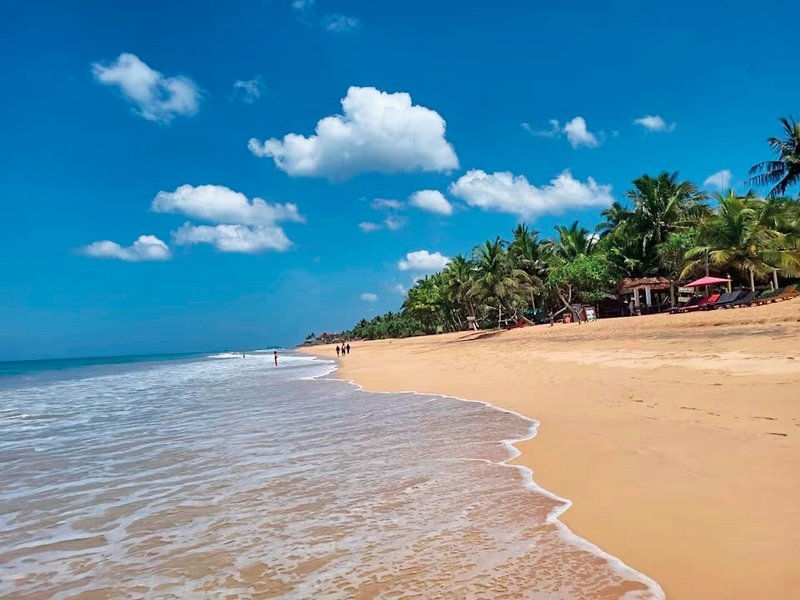 Temple Tree Resort & Spa 12