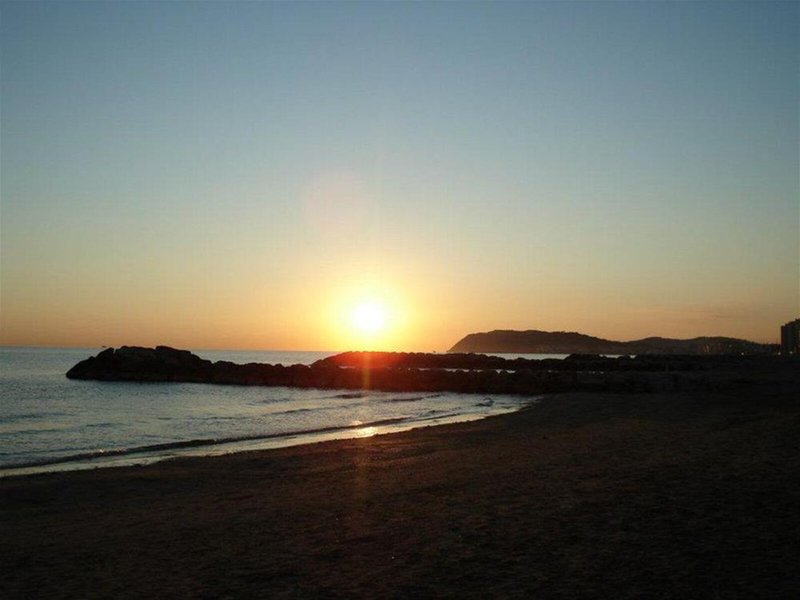 Alba 1