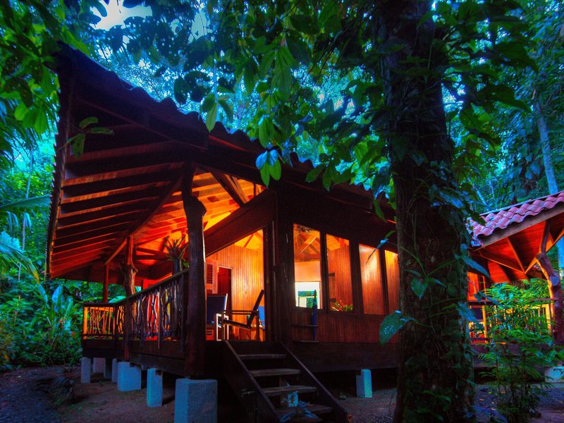 Playa Nicuesa Rainforest Lodge 2