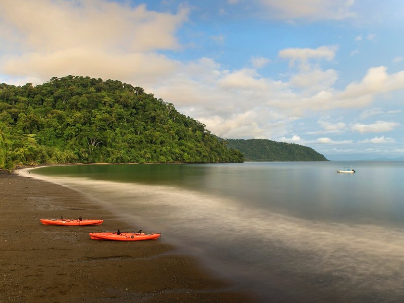 Playa Nicuesa Rainforest Lodge 6