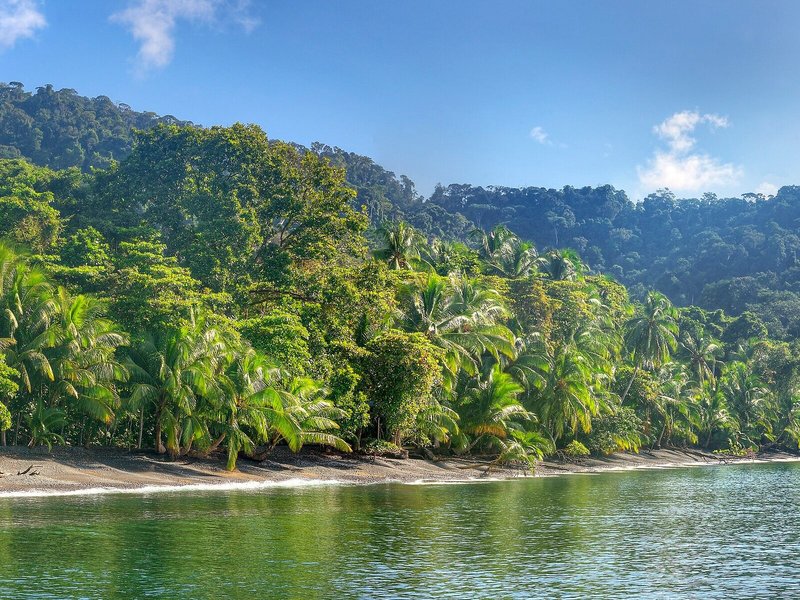 Playa Nicuesa Rainforest Lodge 7
