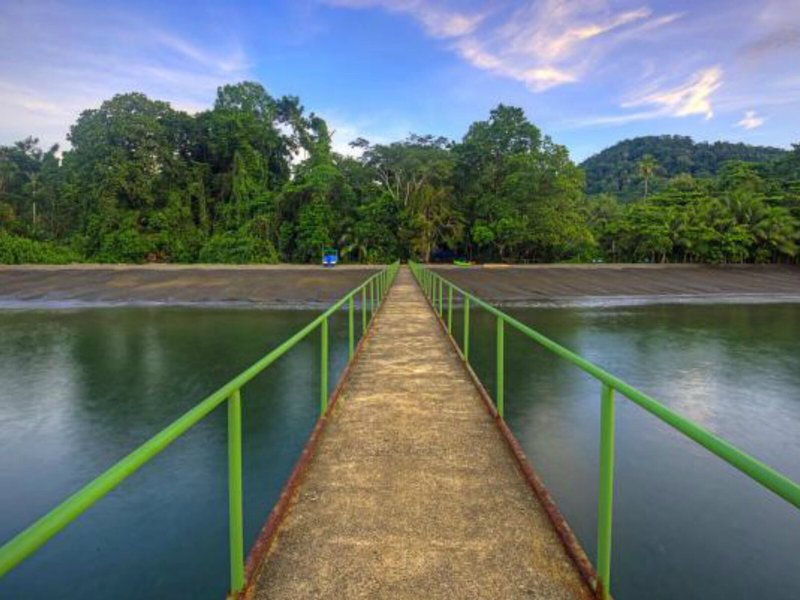 Playa Nicuesa Rainforest Lodge 9