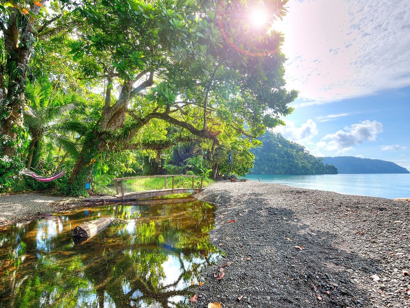 Playa Nicuesa Rainforest Lodge 11