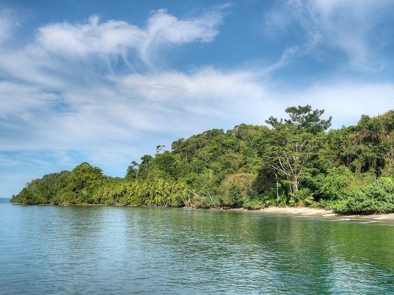 Playa Nicuesa Rainforest Lodge 12