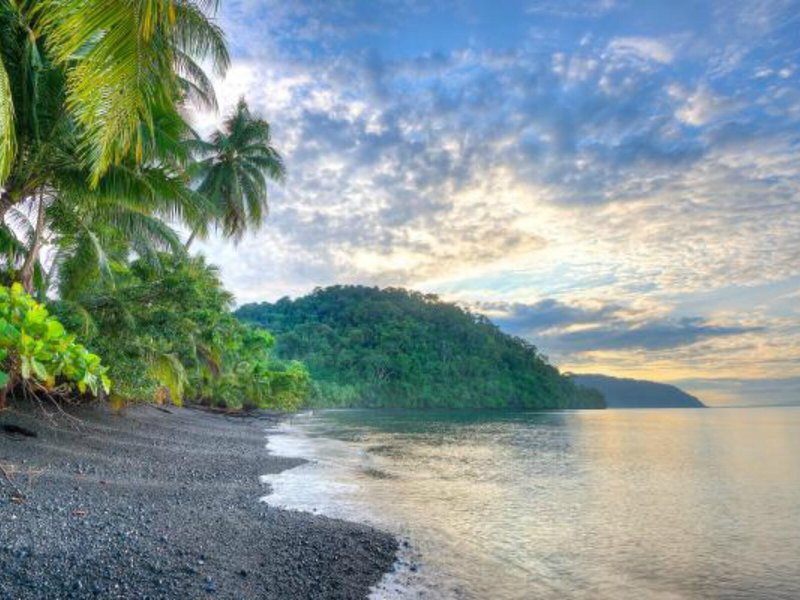 Playa Nicuesa Rainforest Lodge 13