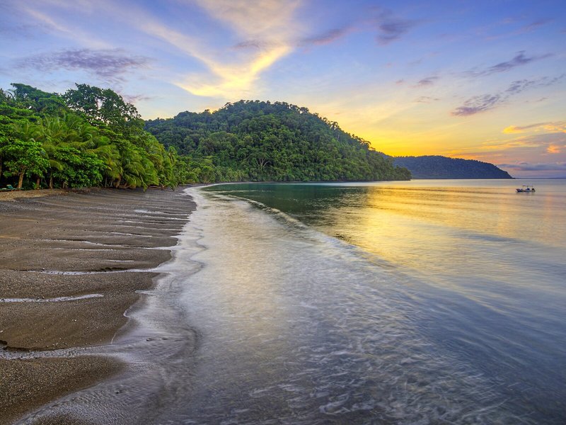 Playa Nicuesa Rainforest Lodge 14