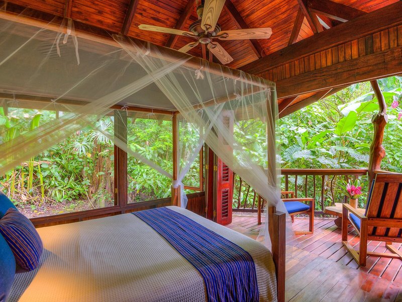 Playa Nicuesa Rainforest Lodge 32