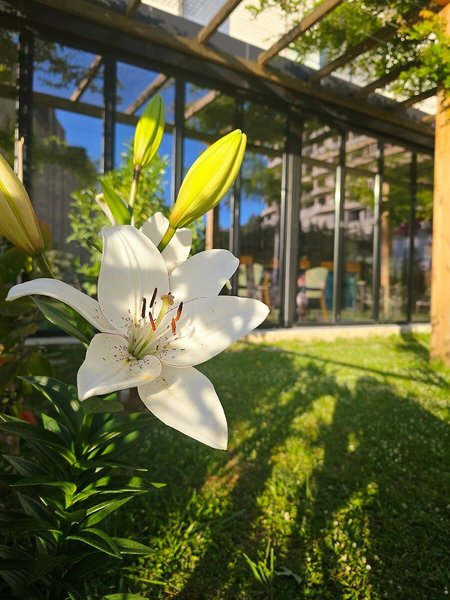 Valza Boutique Hotel 8