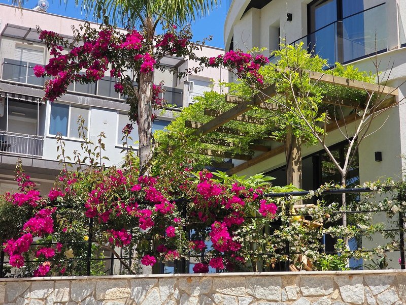 Valza Boutique Hotel 13
