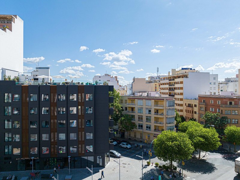 JS Palma Plaza 4