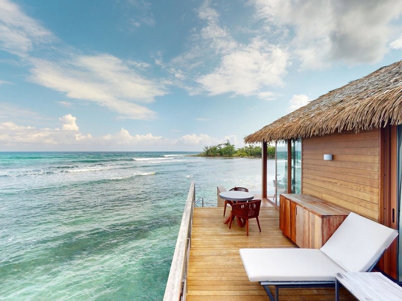 Princess Senses The Mangrove 42