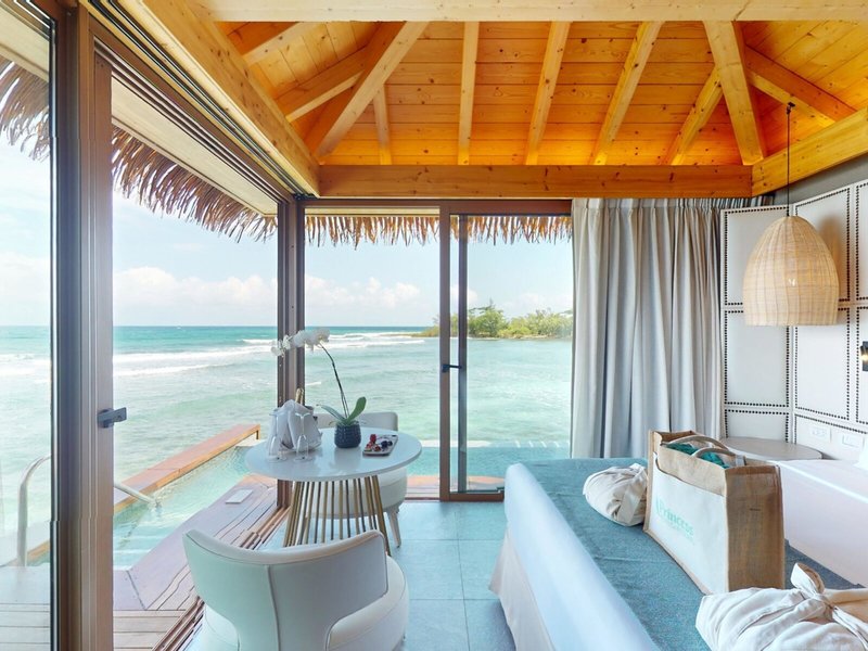 Princess Senses The Mangrove 43