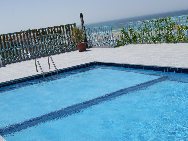 Palm Inn Hotel 15