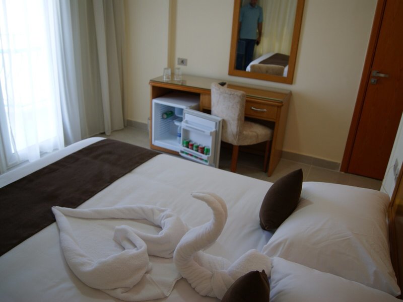 Palm Inn Hotel 40