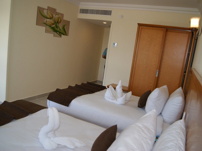 Palm Inn Hotel 41