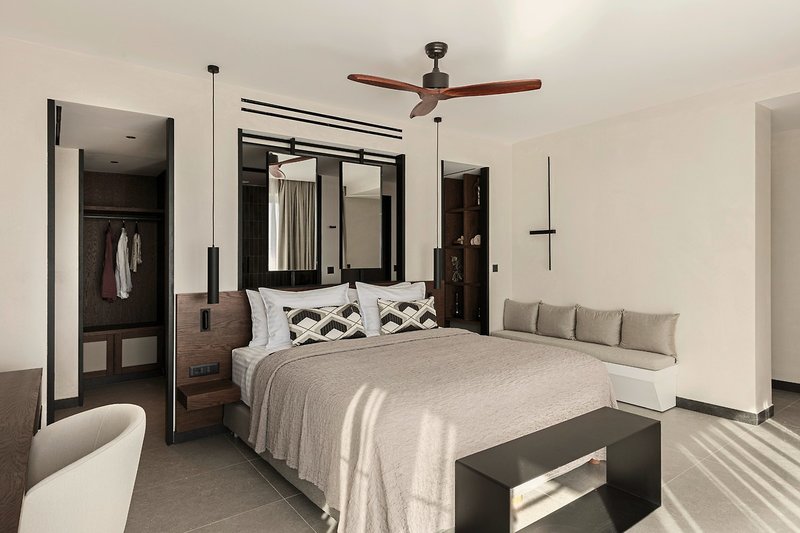 King Jason Zante - Designed for adults 5