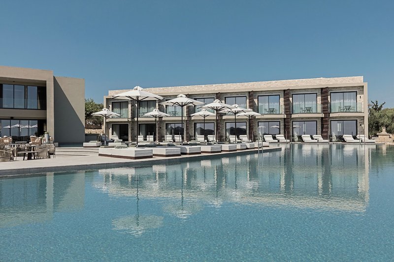 King Jason Zante - Designed for adults 6