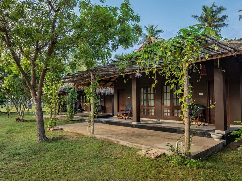Club Mango Resort 5