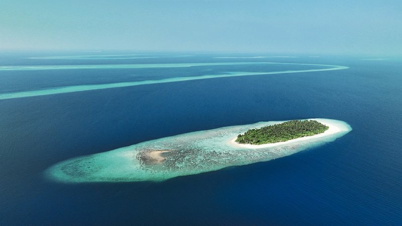 Avani+ Fares Maldives Resort 40