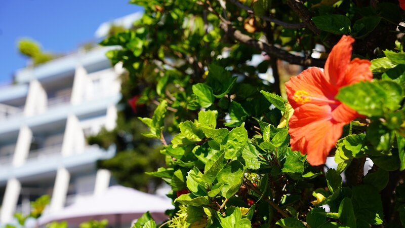 Coral La Quinta Park Suites 41