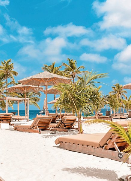 Chogogo Dive & Beach Resort Bonaire 19