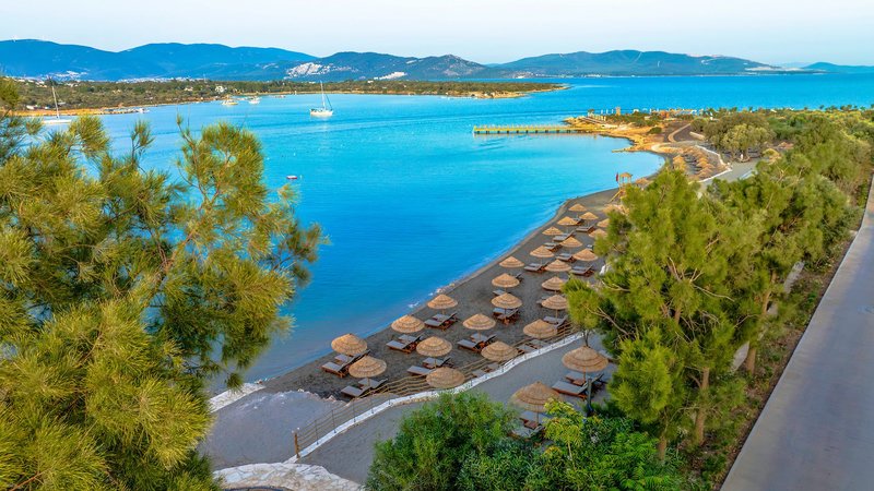 Anda Barut Collection 23