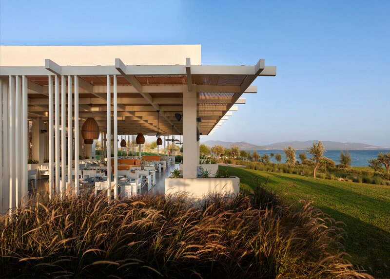 Anda Barut Collection 208