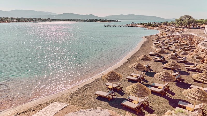 Anda Barut Collection 32