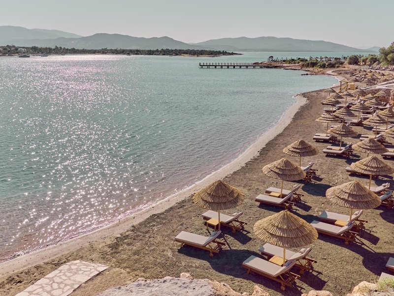 Anda Barut Collection 4