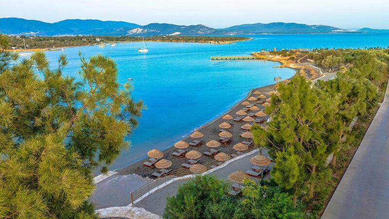 Anda Barut Collection 81