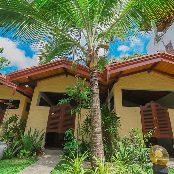 Terrace Garden Ayurveda Resort 16