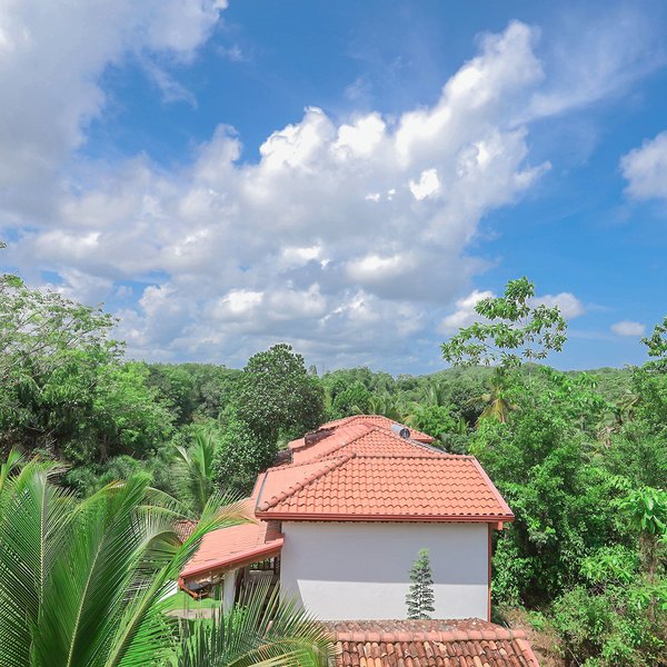 Terrace Garden Ayurveda Resort 18