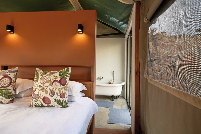 Elephants Crossing 8