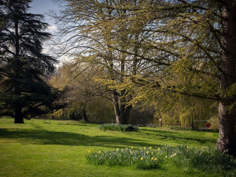 Norton Park 5