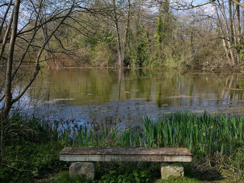 Norton Park 8