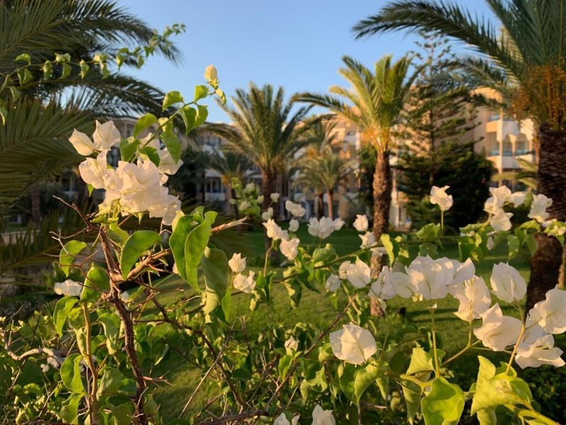 Hasdrubal Thalassa & Spa Yasmine Hammamet 9