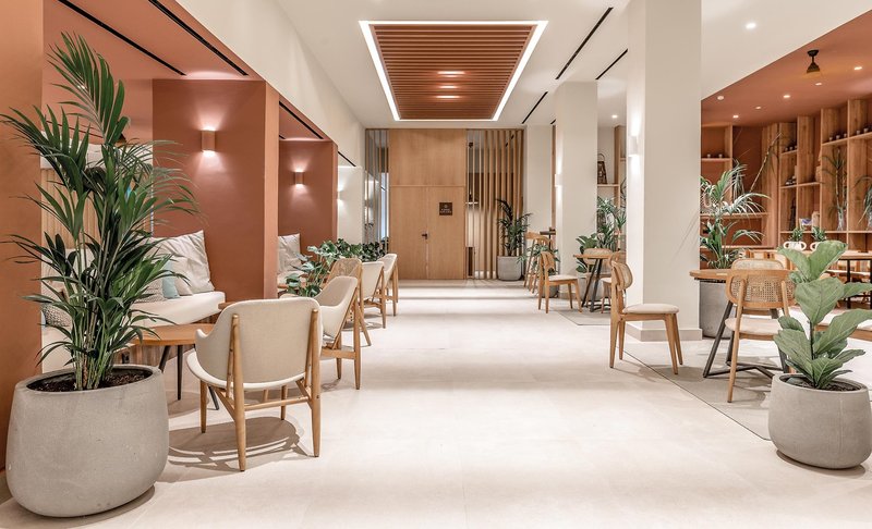 Domes Aulus Zante, Autograph Collection 19