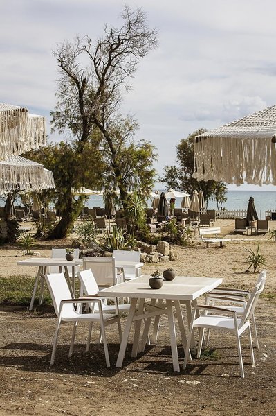 Domes Aulus Zante, Autograph Collection 28