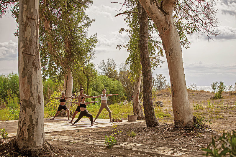 Domes Aulus Zante, Autograph Collection 8