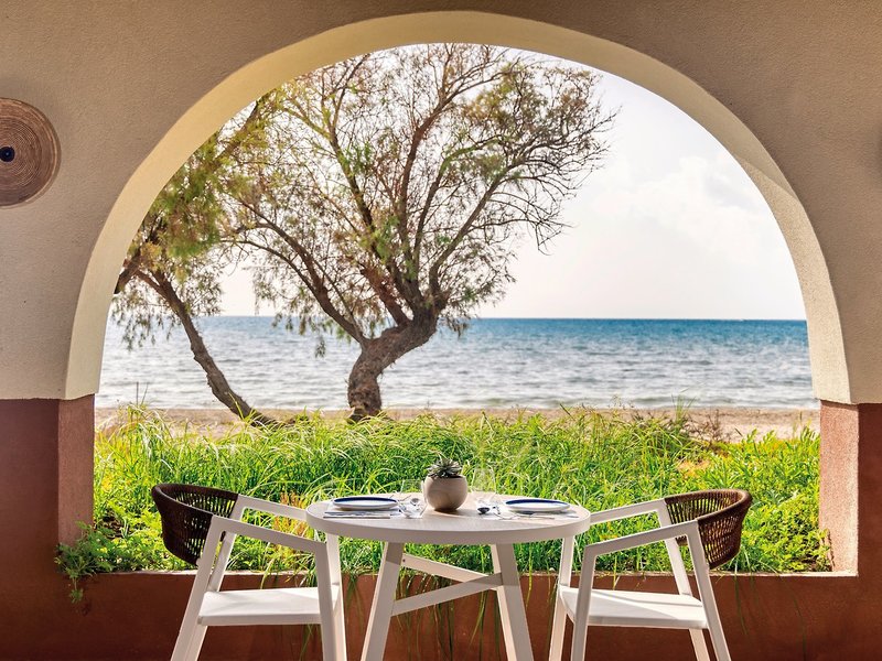 Domes Aulus Zante, Autograph Collection 19