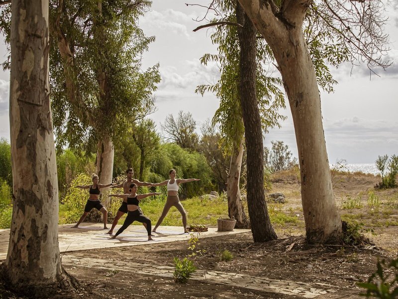 Domes Aulus Zante, Autograph Collection 19