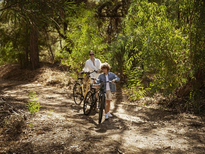 Domes Aulus Zante, Autograph Collection 20