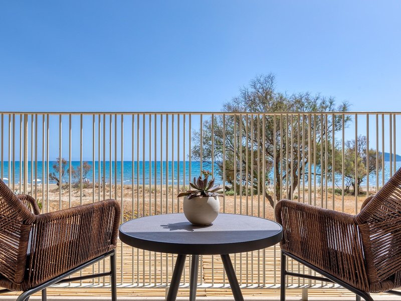 Domes Aulus Zante, Autograph Collection 41