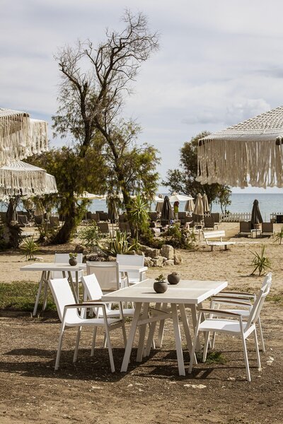 Domes Aulus Zante, Autograph Collection 22