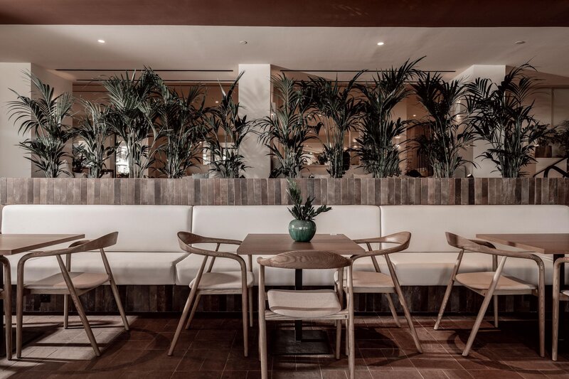 Domes Aulus Zante, Autograph Collection 47